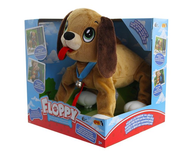 Pejsek Floppy