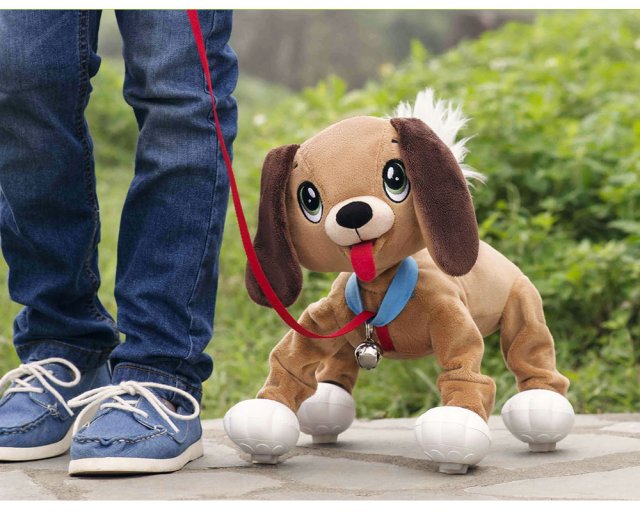 Pejsek Floppy
